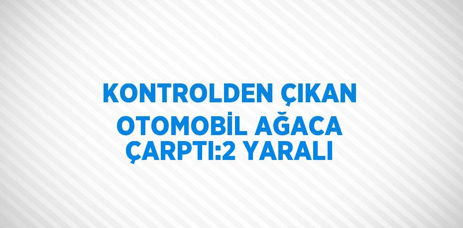 KONTROLDEN ÇIKAN OTOMOBİL AĞACA ÇARPTI:2 YARALI