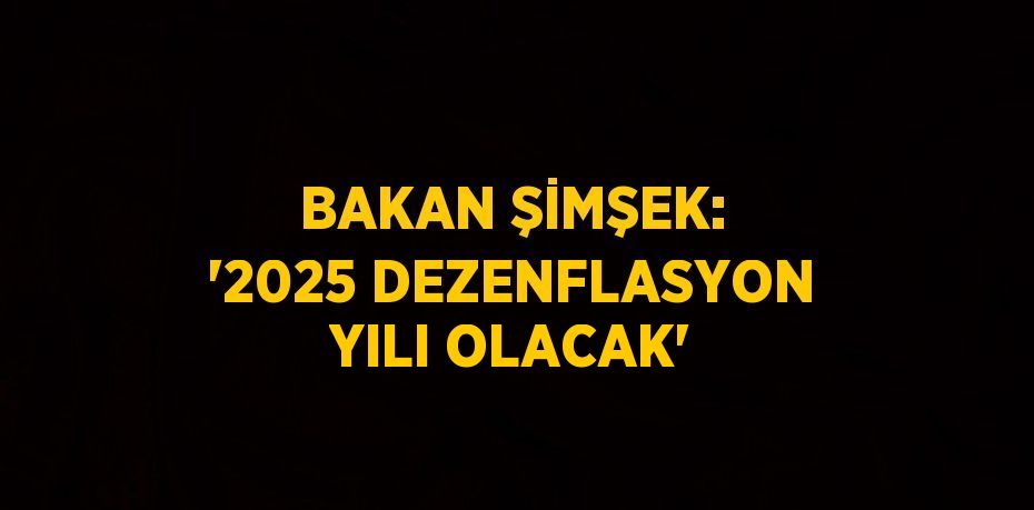 BAKAN ŞİMŞEK: '2025 DEZENFLASYON YILI OLACAK'