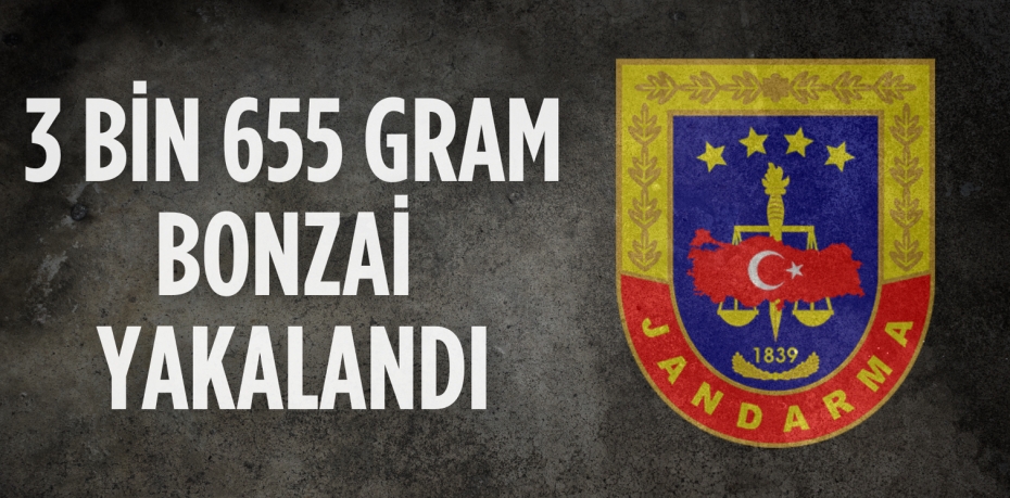 3 BİN 655 GRAM BONZAİ YAKALANDI