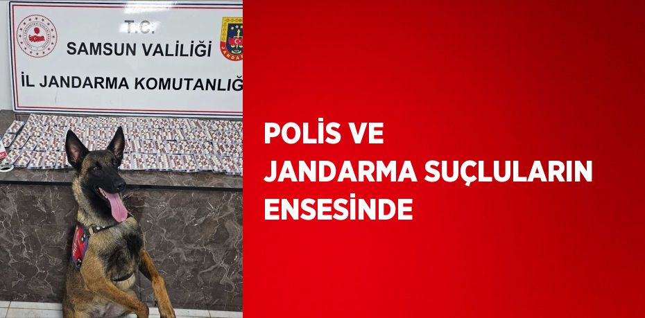 POLİS VE JANDARMA SUÇLULARIN ENSESİNDE