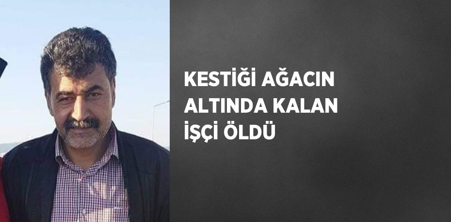 KESTİĞİ AĞACIN ALTINDA KALAN İŞÇİ ÖLDÜ