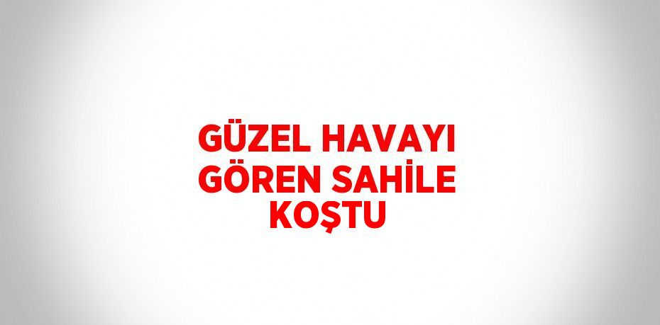 GÜZEL HAVAYI GÖREN SAHİLE KOŞTU