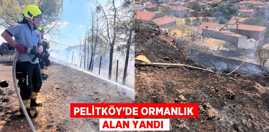 Pelitköy’de ormanlık alan yandı