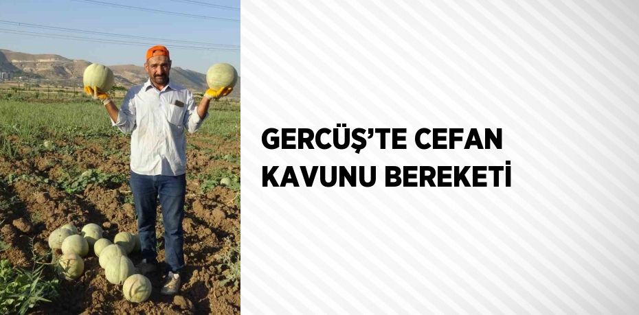 GERCÜŞ’TE CEFAN KAVUNU BEREKETİ