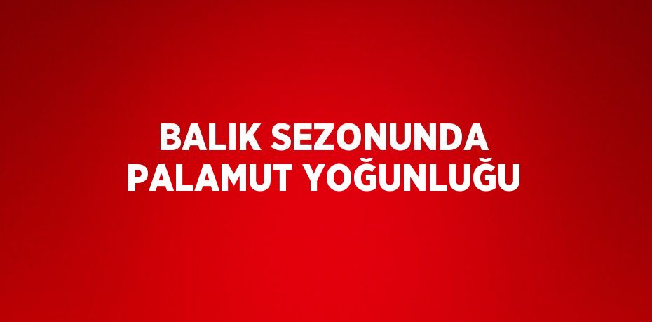 BALIK SEZONUNDA PALAMUT YOĞUNLUĞU