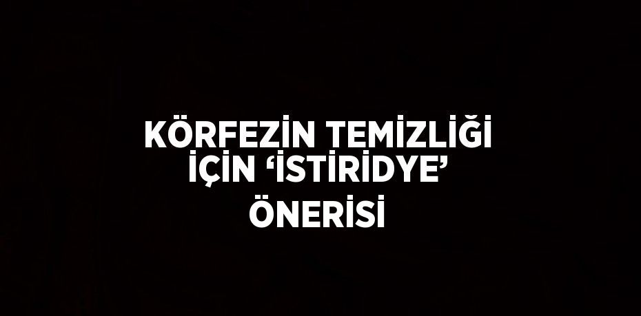 KÖRFEZİN TEMİZLİĞİ İÇİN ‘İSTİRİDYE’ ÖNERİSİ