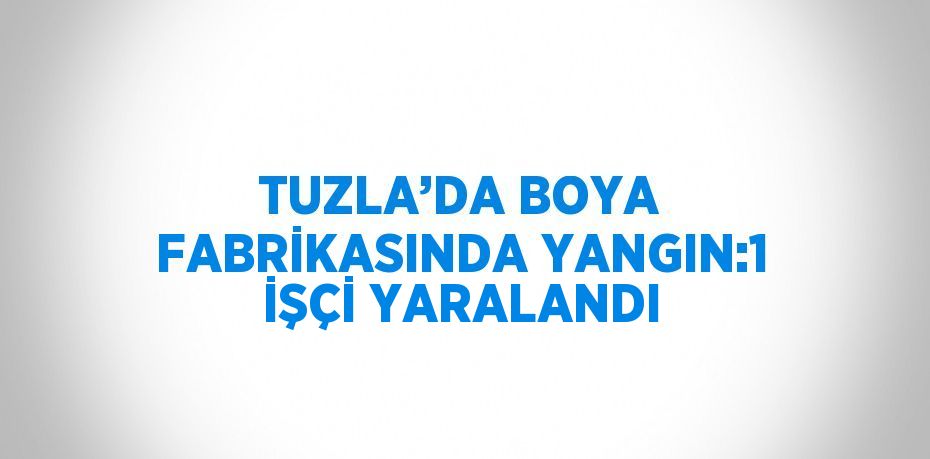 TUZLA’DA BOYA FABRİKASINDA YANGIN:1 İŞÇİ YARALANDI