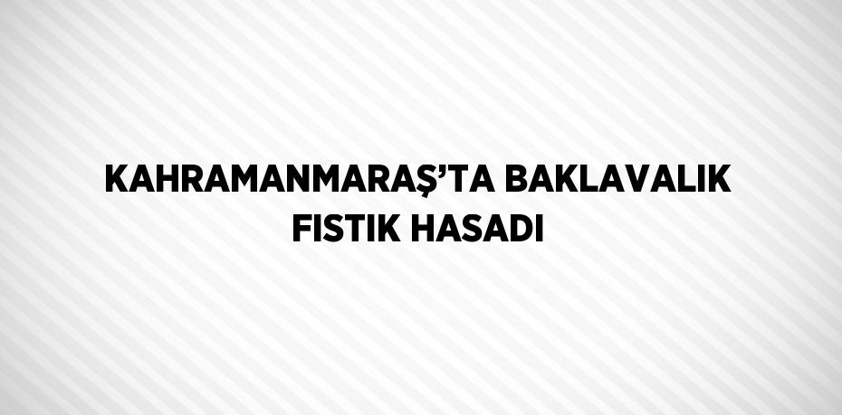 KAHRAMANMARAŞ’TA BAKLAVALIK FISTIK HASADI