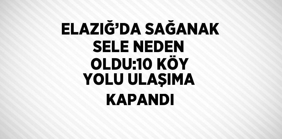 ELAZIĞ’DA SAĞANAK SELE NEDEN OLDU:10 KÖY YOLU ULAŞIMA KAPANDI