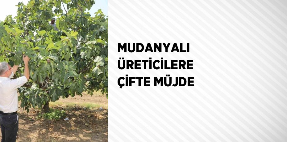 MUDANYALI ÜRETİCİLERE ÇİFTE MÜJDE