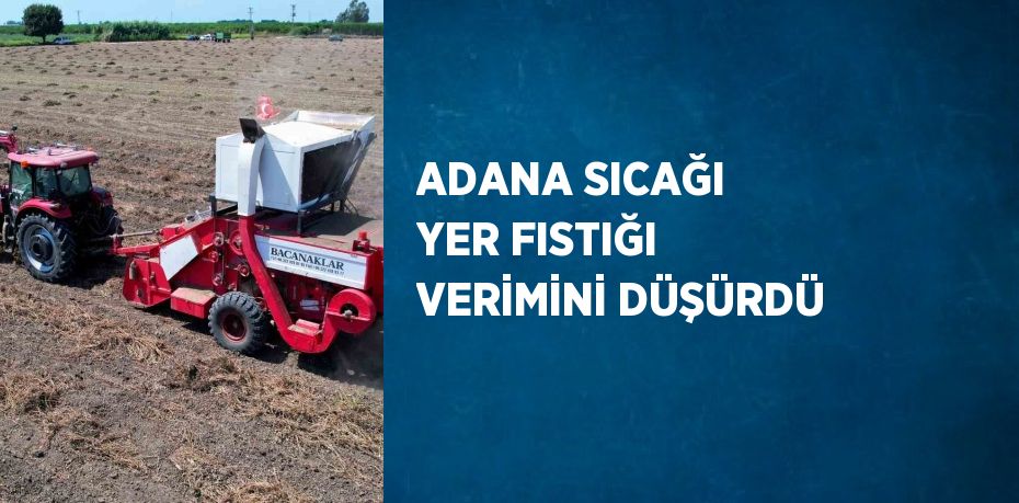 ADANA SICAĞI YER FISTIĞI VERİMİNİ DÜŞÜRDÜ