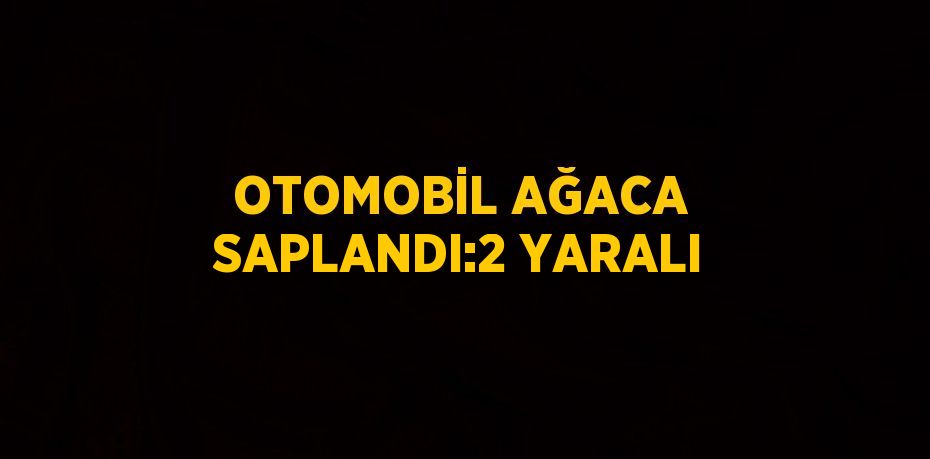 OTOMOBİL AĞACA SAPLANDI:2 YARALI