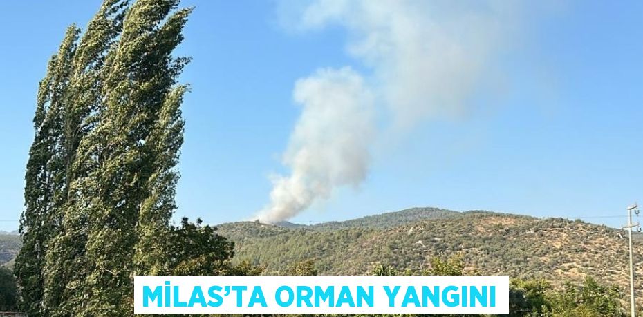 MİLAS’TA ORMAN YANGINI