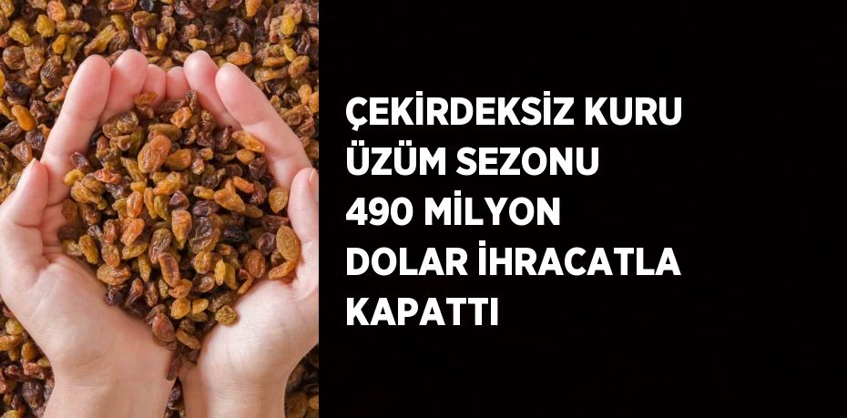 ÇEKİRDEKSİZ KURU ÜZÜM SEZONU 490 MİLYON DOLAR İHRACATLA KAPATTI