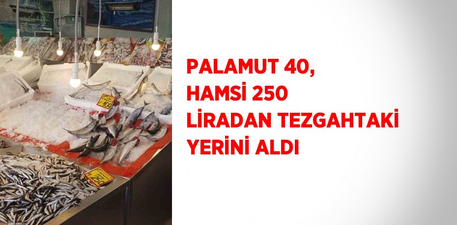 PALAMUT 40, HAMSİ 250 LİRADAN TEZGAHTAKİ YERİNİ ALDI