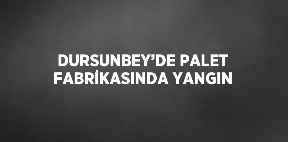 DURSUNBEY’DE PALET FABRİKASINDA YANGIN