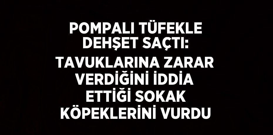 POMPALI TÜFEKLE DEHŞET SAÇTI: TAVUKLARINA ZARAR VERDİĞİNİ İDDİA ETTİĞİ SOKAK KÖPEKLERİNİ VURDU