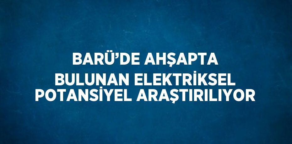 BARÜ’DE AHŞAPTA BULUNAN ELEKTRİKSEL POTANSİYEL ARAŞTIRILIYOR