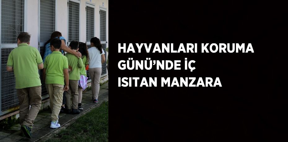 HAYVANLARI KORUMA GÜNÜ’NDE İÇ ISITAN MANZARA