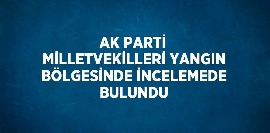 AK PARTİ MİLLETVEKİLLERİ YANGIN BÖLGESİNDE İNCELEMEDE BULUNDU