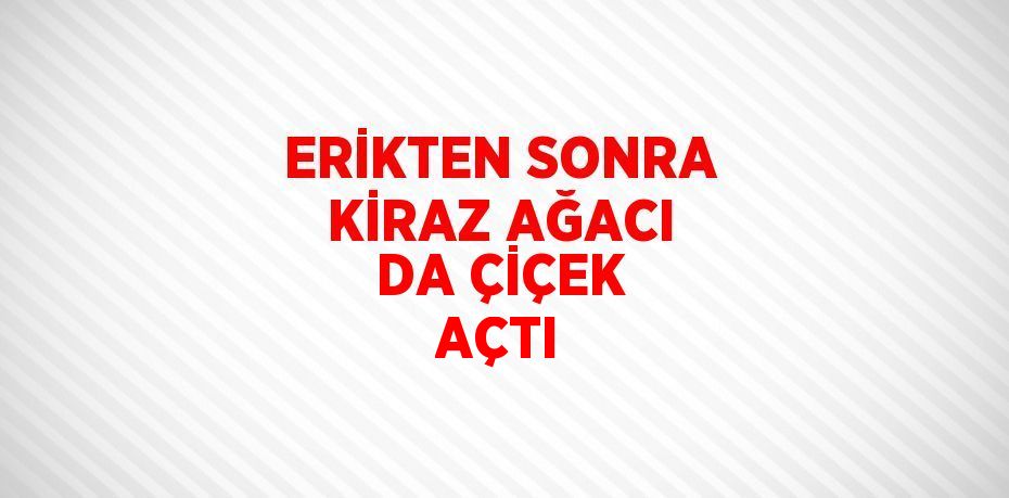 ERİKTEN SONRA KİRAZ AĞACI DA ÇİÇEK AÇTI