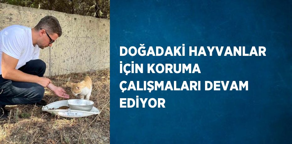 DOĞADAKİ HAYVANLAR İÇİN KORUMA ÇALIŞMALARI DEVAM EDİYOR