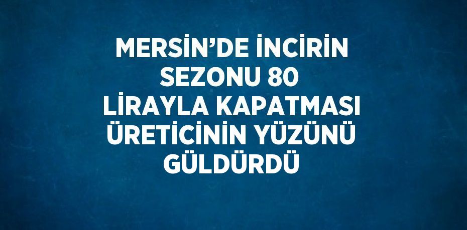 MERSİN’DE İNCİRİN SEZONU 80 LİRAYLA KAPATMASI ÜRETİCİNİN YÜZÜNÜ GÜLDÜRDÜ