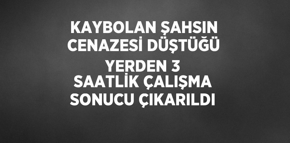 KAYBOLAN ŞAHSIN CENAZESİ DÜŞTÜĞÜ YERDEN 3 SAATLİK ÇALIŞMA SONUCU ÇIKARILDI