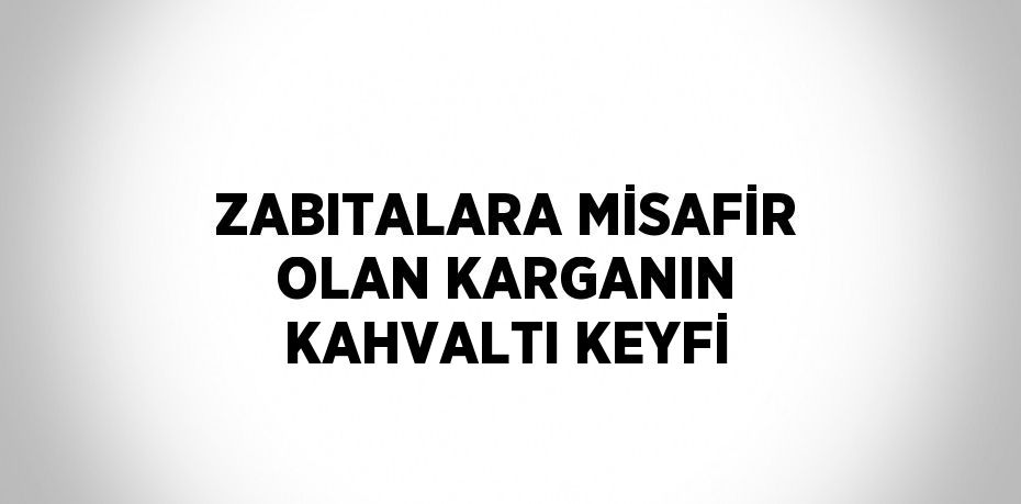 ZABITALARA MİSAFİR OLAN KARGANIN KAHVALTI KEYFİ