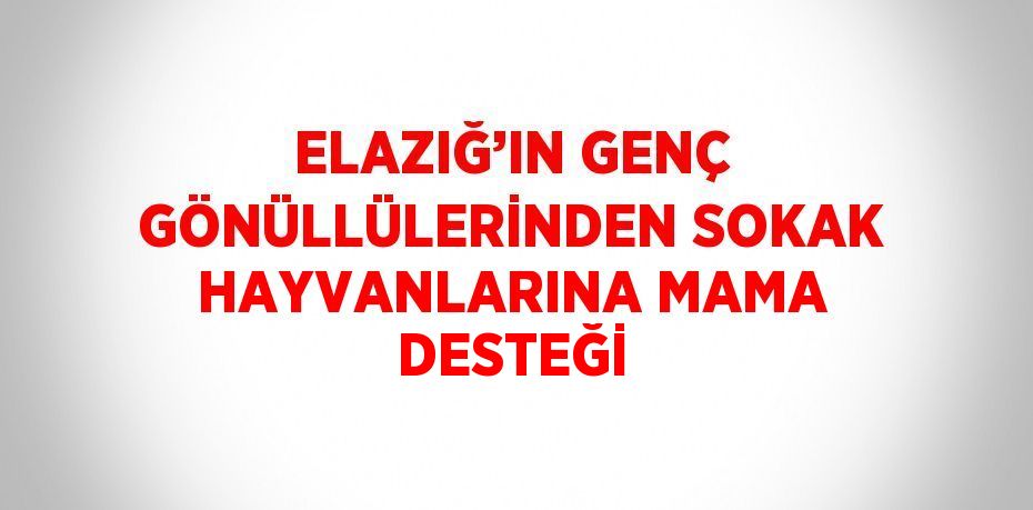 ELAZIĞ’IN GENÇ GÖNÜLLÜLERİNDEN SOKAK HAYVANLARINA MAMA DESTEĞİ