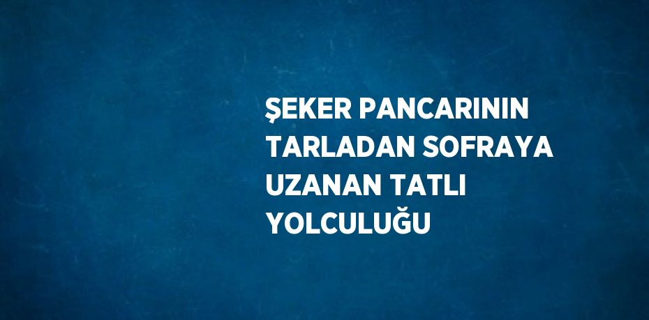 ŞEKER PANCARININ TARLADAN SOFRAYA UZANAN TATLI YOLCULUĞU