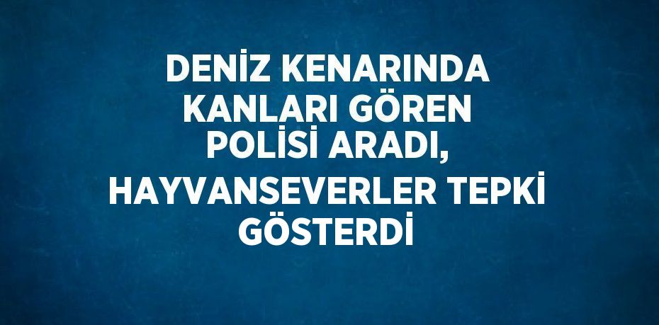 DENİZ KENARINDA KANLARI GÖREN POLİSİ ARADI, HAYVANSEVERLER TEPKİ GÖSTERDİ