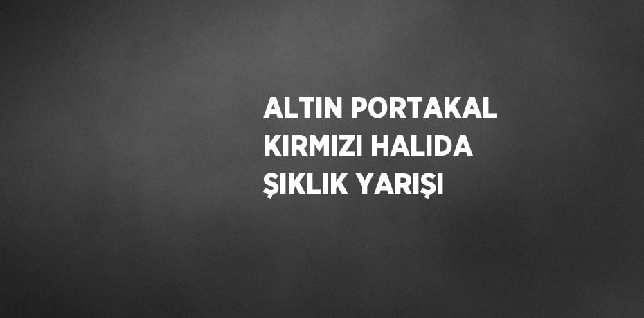 ALTIN PORTAKAL KIRMIZI HALIDA ŞIKLIK YARIŞI