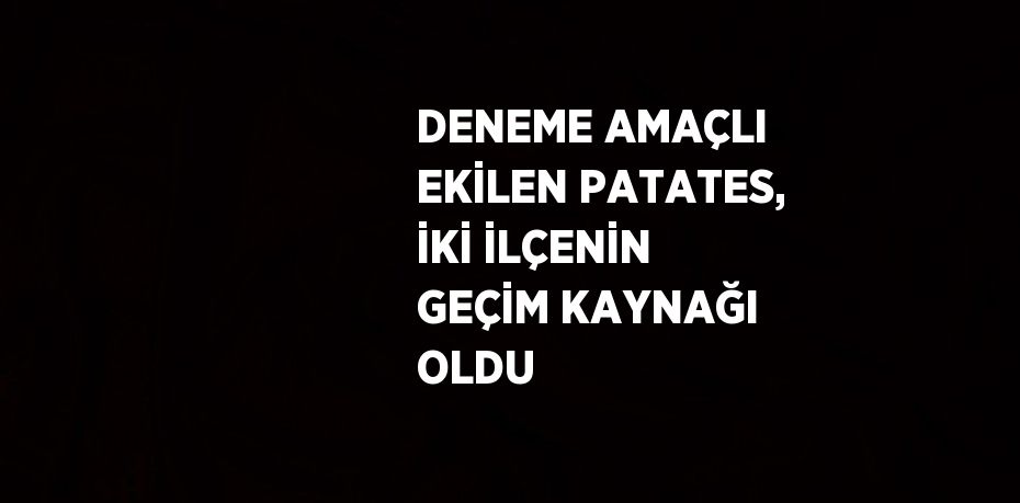 DENEME AMAÇLI EKİLEN PATATES, İKİ İLÇENİN GEÇİM KAYNAĞI OLDU