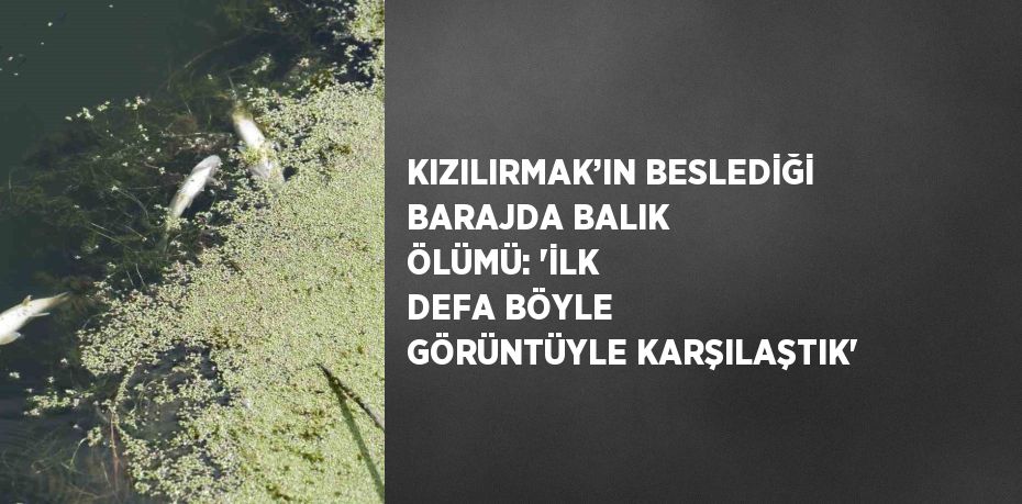 KIZILIRMAK’IN BESLEDİĞİ BARAJDA BALIK ÖLÜMÜ: 'İLK DEFA BÖYLE GÖRÜNTÜYLE KARŞILAŞTIK'