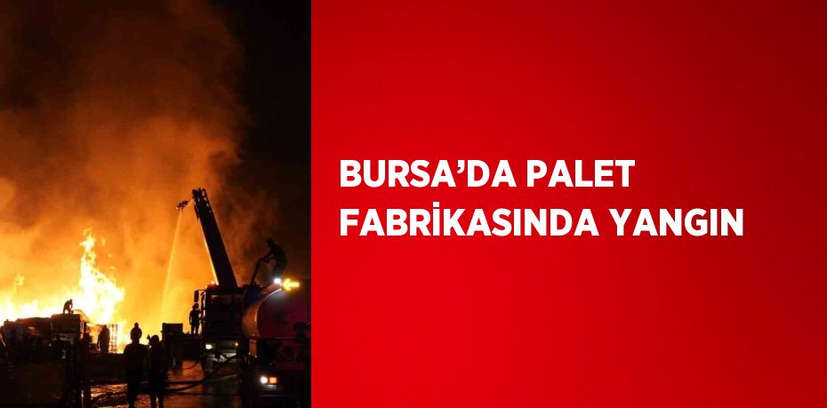 BURSA’DA PALET FABRİKASINDA YANGIN