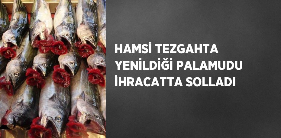 HAMSİ TEZGAHTA YENİLDİĞİ PALAMUDU İHRACATTA SOLLADI