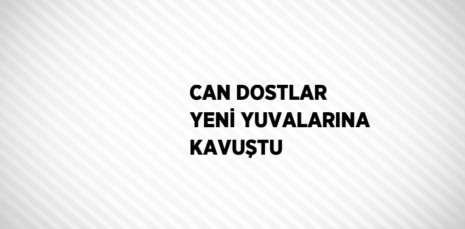 CAN DOSTLAR YENİ YUVALARINA KAVUŞTU