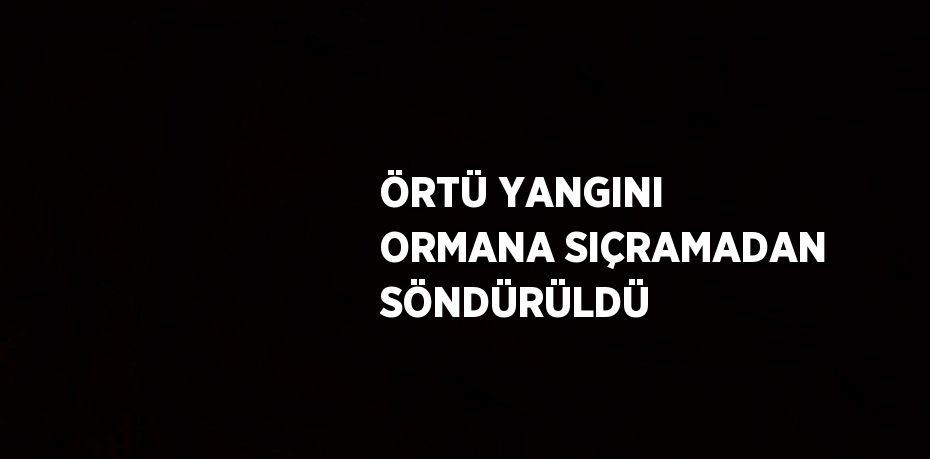 ÖRTÜ YANGINI ORMANA SIÇRAMADAN SÖNDÜRÜLDÜ