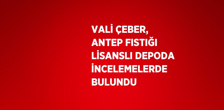 VALİ ÇEBER, ANTEP FISTIĞI LİSANSLI DEPODA İNCELEMELERDE BULUNDU