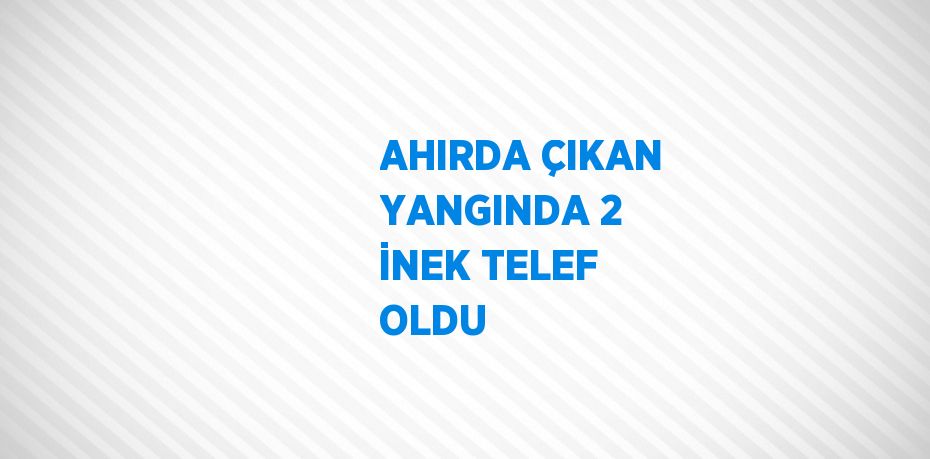 AHIRDA ÇIKAN YANGINDA 2 İNEK TELEF OLDU