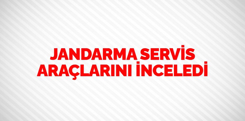 JANDARMA SERVİS ARAÇLARINI İNCELEDİ