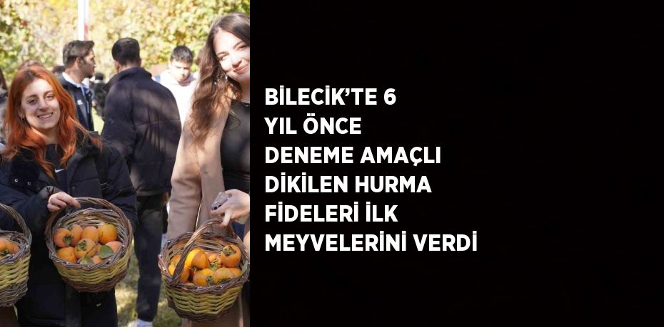 BİLECİK’TE 6 YIL ÖNCE DENEME AMAÇLI DİKİLEN HURMA FİDELERİ İLK MEYVELERİNİ VERDİ