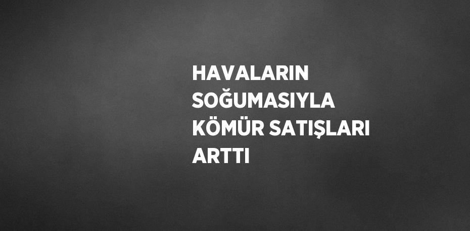 HAVALARIN SOĞUMASIYLA KÖMÜR SATIŞLARI ARTTI