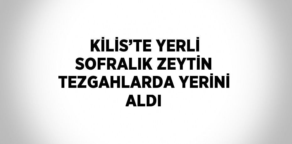 KİLİS’TE YERLİ SOFRALIK ZEYTİN TEZGAHLARDA YERİNİ ALDI