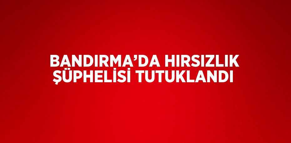 BANDIRMA’DA HIRSIZLIK ŞÜPHELİSİ TUTUKLANDI