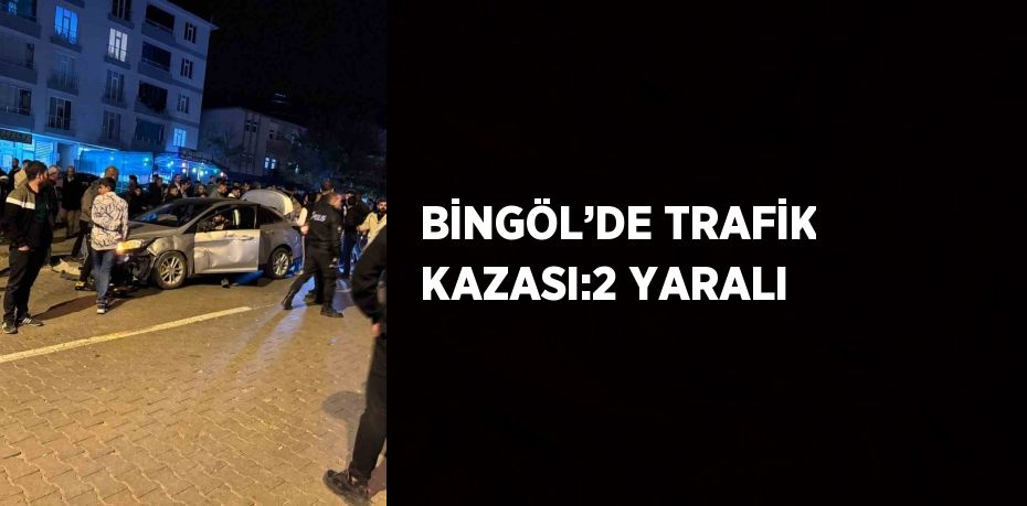 BİNGÖL’DE TRAFİK KAZASI:2 YARALI