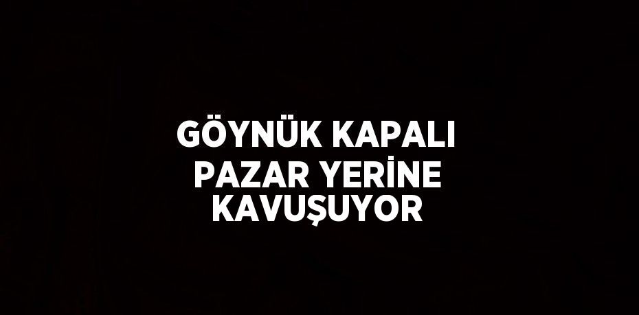 GÖYNÜK KAPALI PAZAR YERİNE KAVUŞUYOR