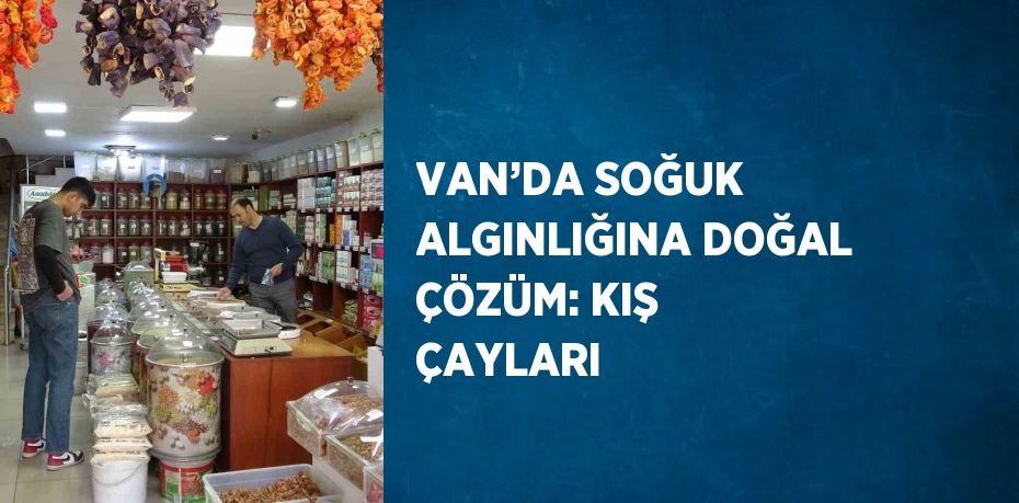 VAN’DA SOĞUK ALGINLIĞINA DOĞAL ÇÖZÜM: KIŞ ÇAYLARI