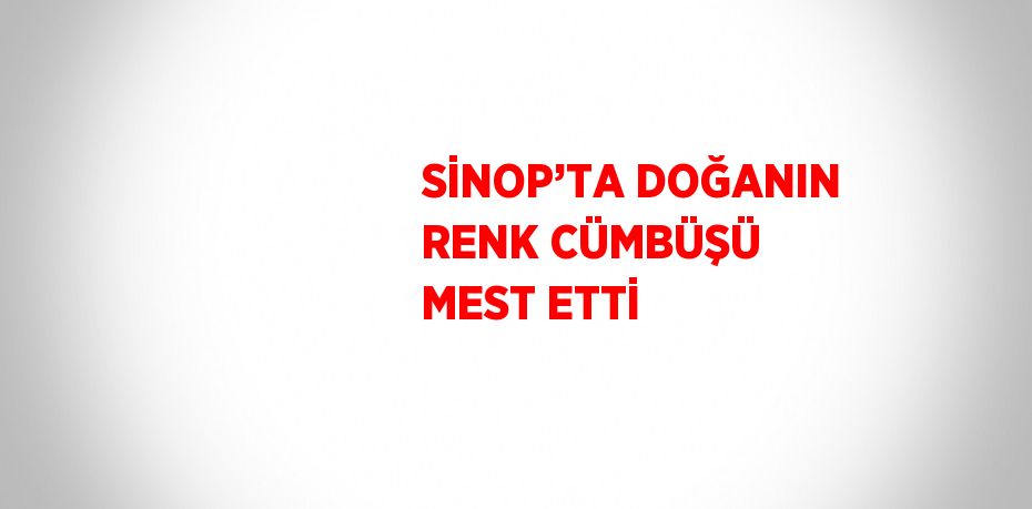 SİNOP’TA DOĞANIN RENK CÜMBÜŞÜ MEST ETTİ